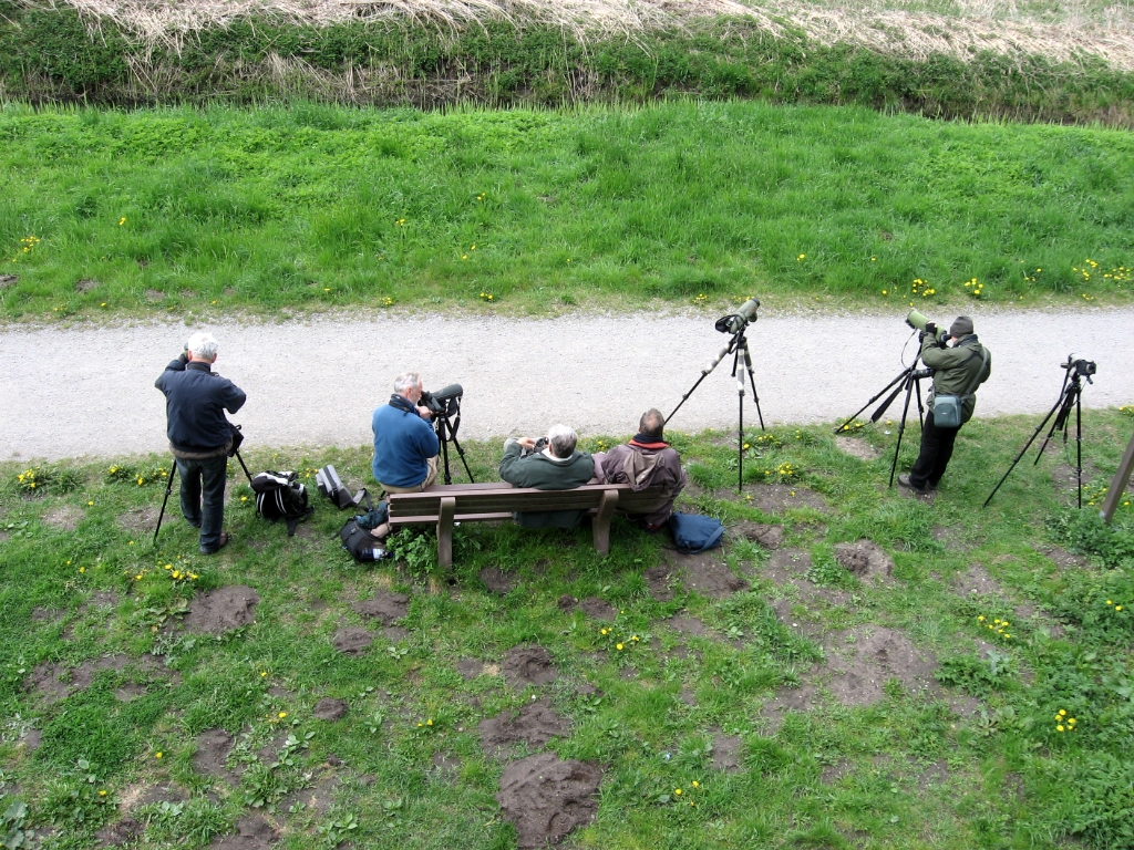 Duitsland Elly (14)